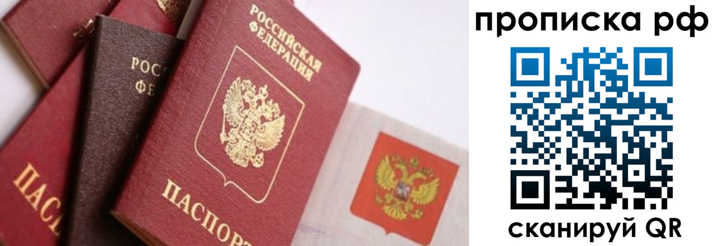 найти адрес прописки в Курской области